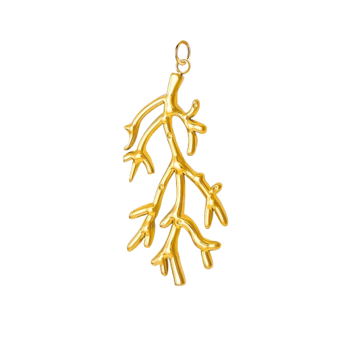 Coral Charm