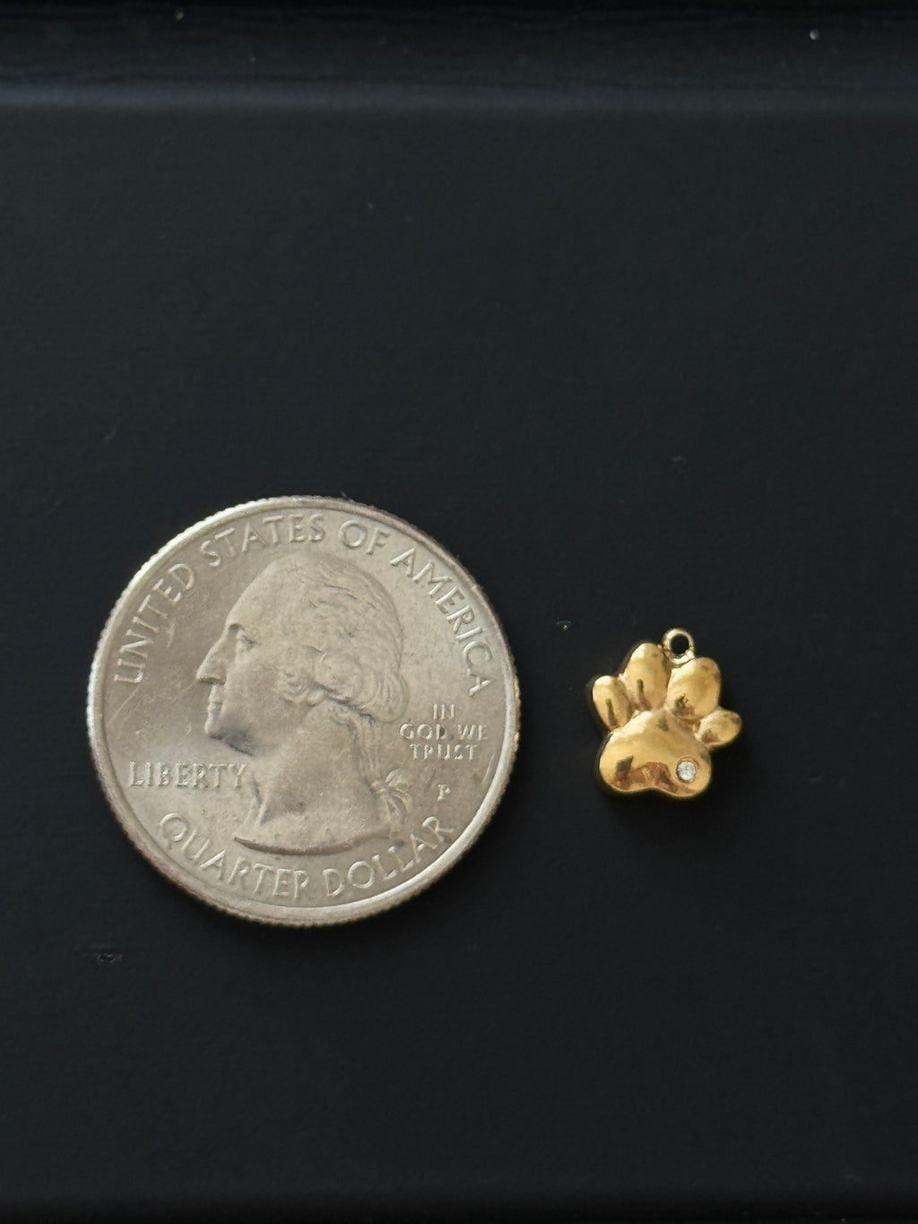 Mini Paw Charm