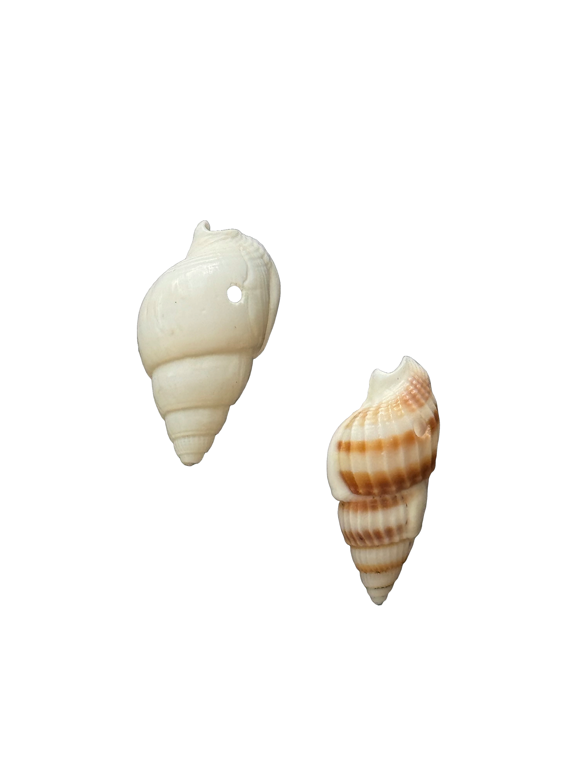 Caracol Charm