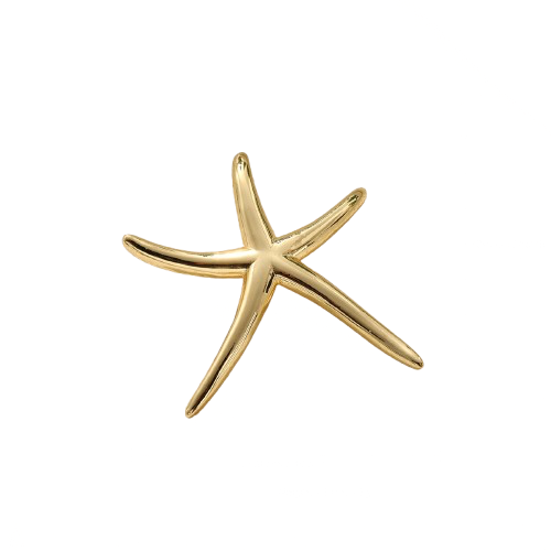 Big Starfish Charm