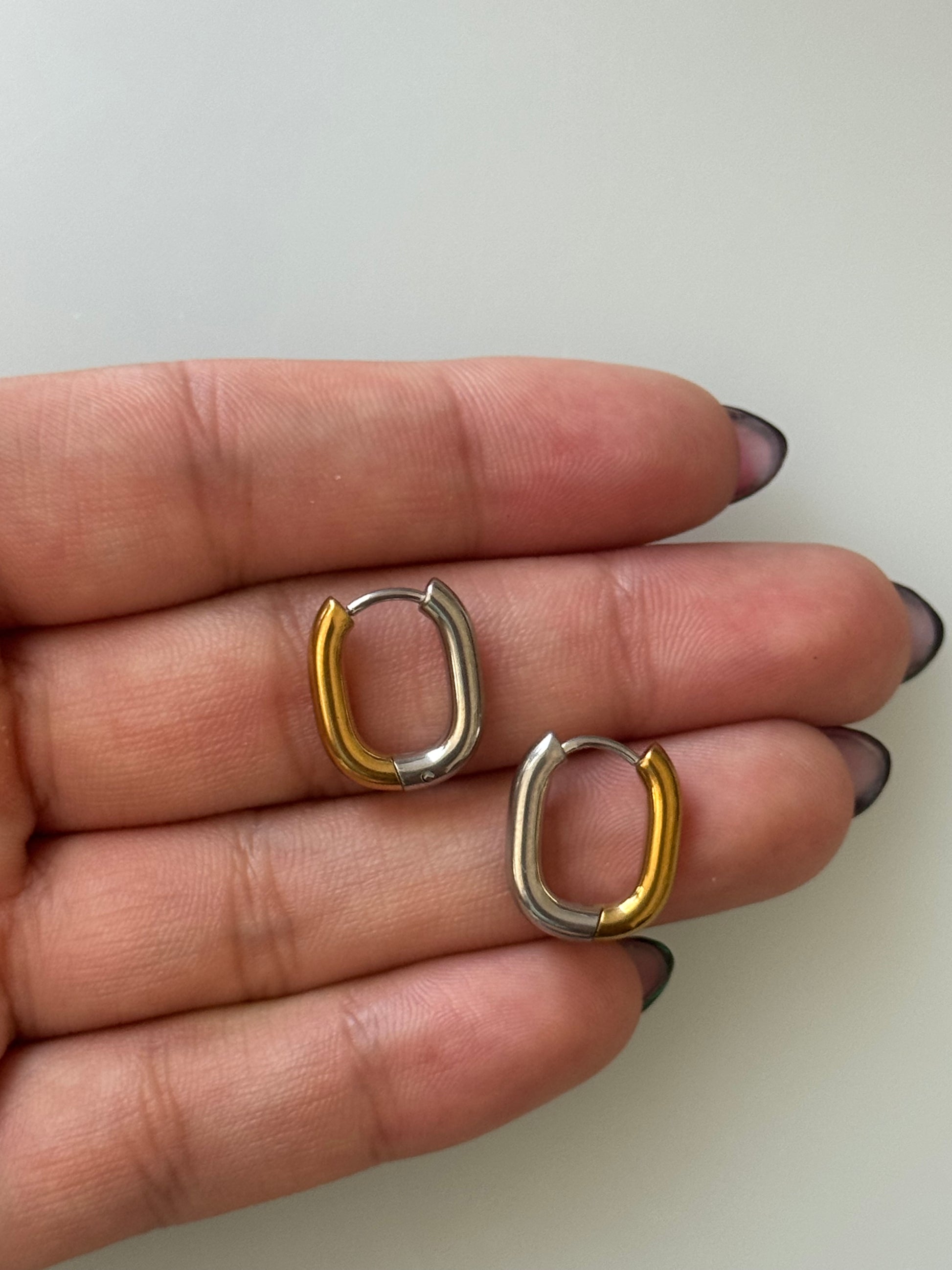 Salyra Two Tones Earrings