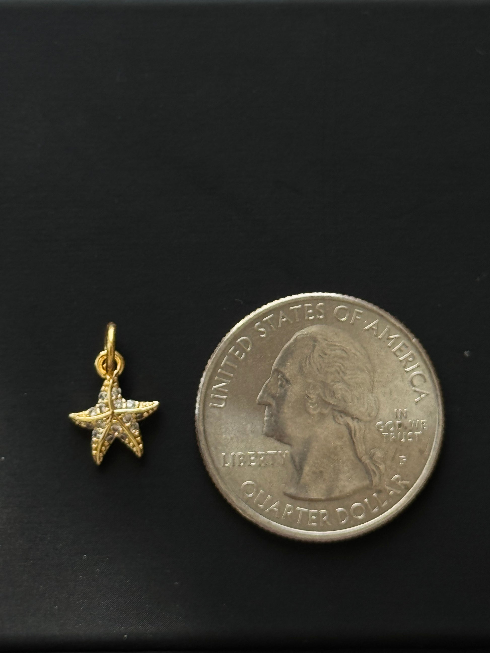 SEA STAR DIAMOND MINI CHARM