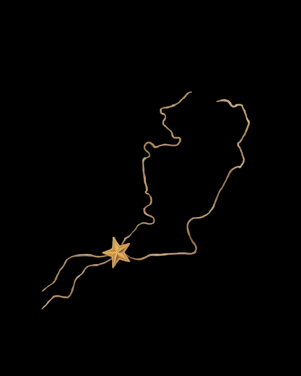Golden Star Adjustable Necklace