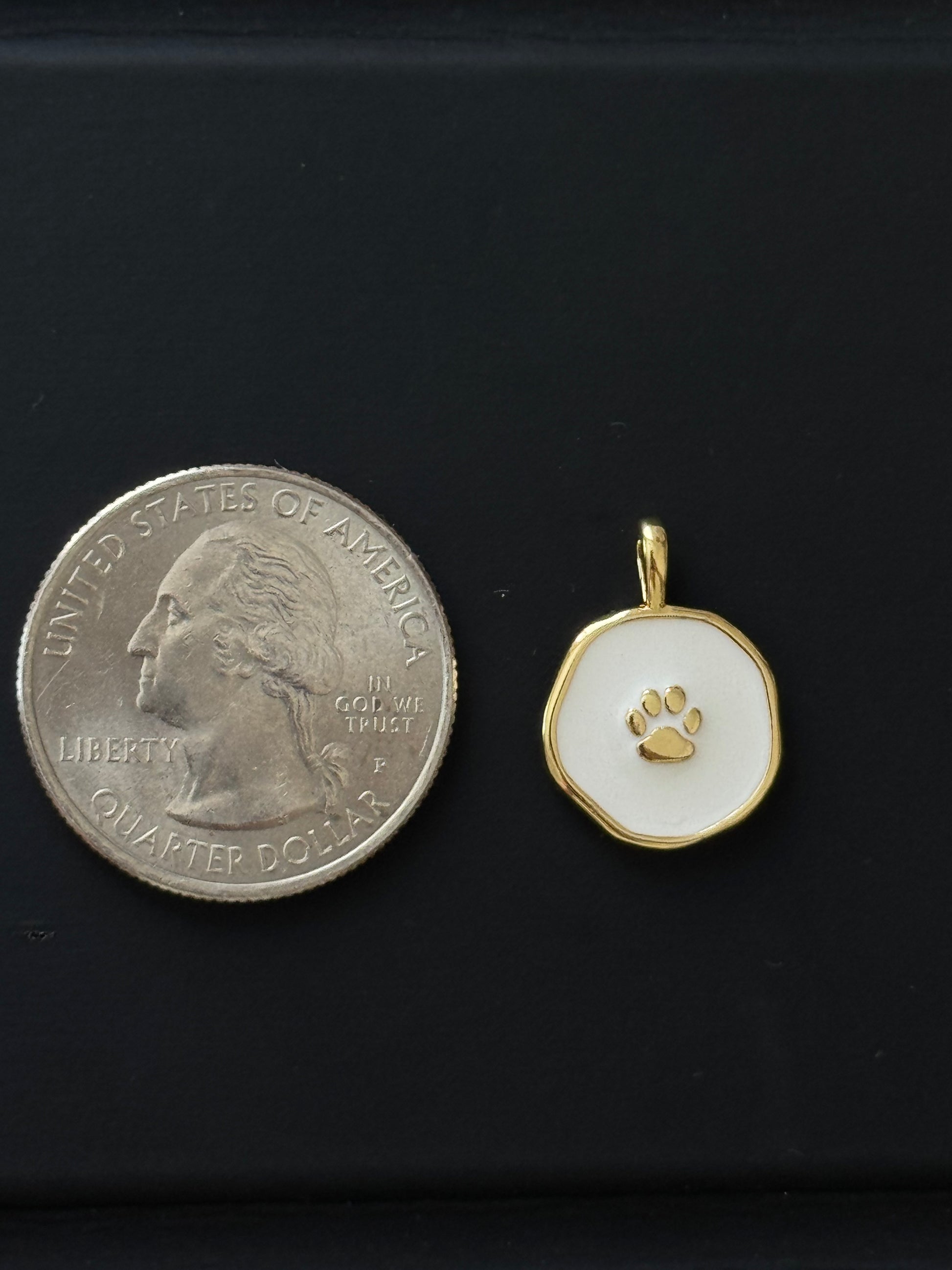 Paw Tag Charm