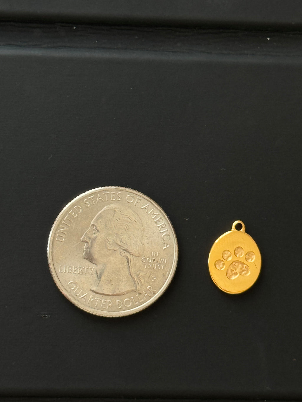 Paw Mini Tag Charm