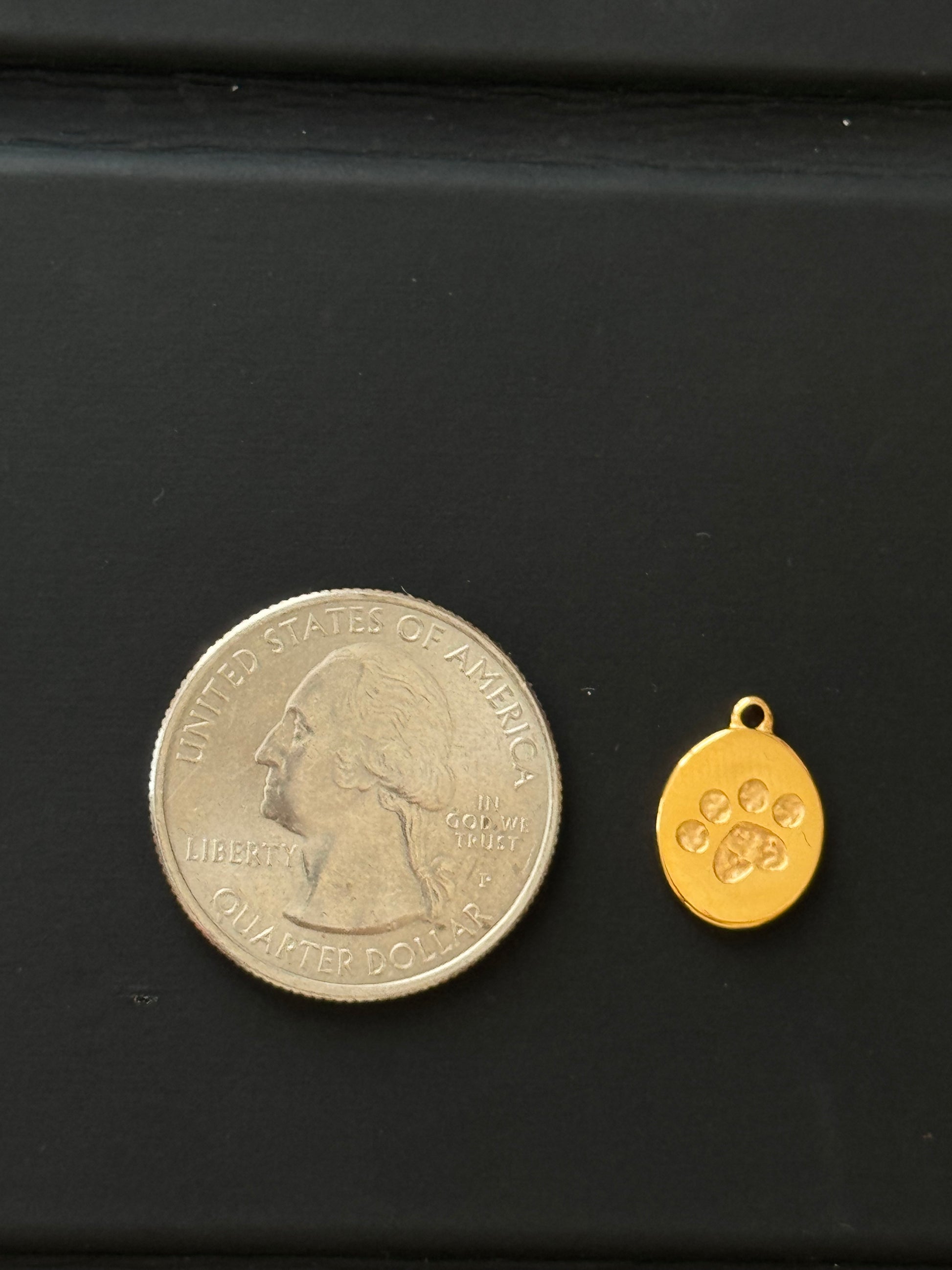 Paw Mini Tag Charm