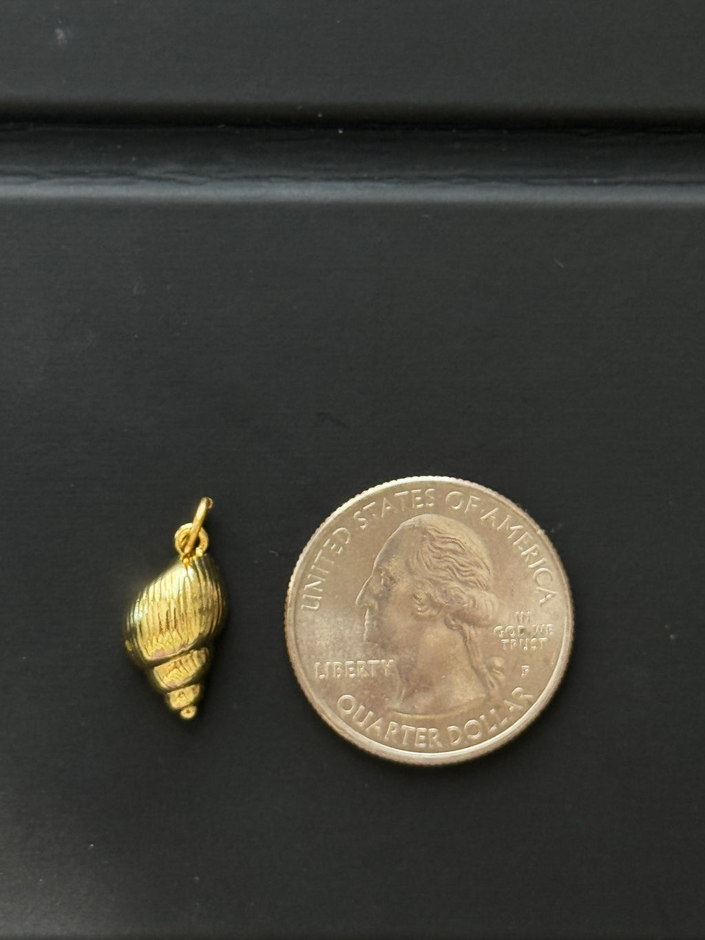 GOLDEN CARACOL CHARM