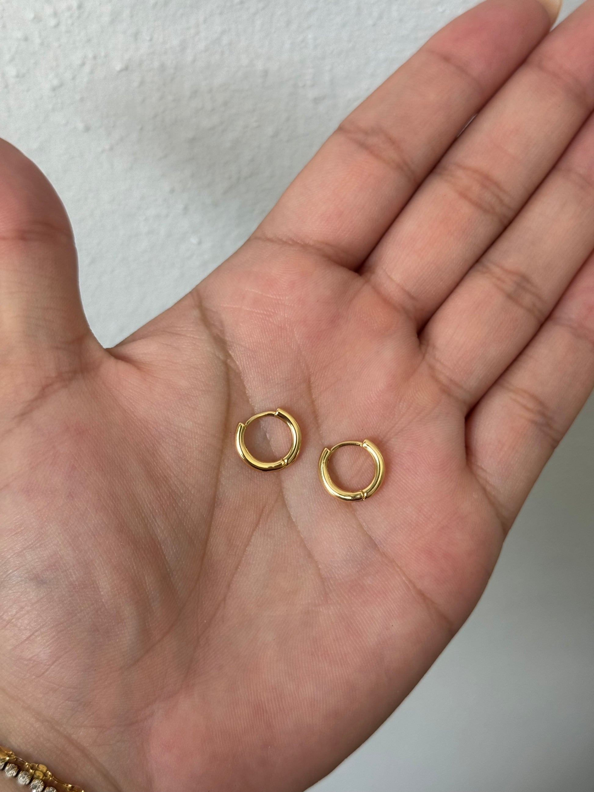 Sally Daily Earrings