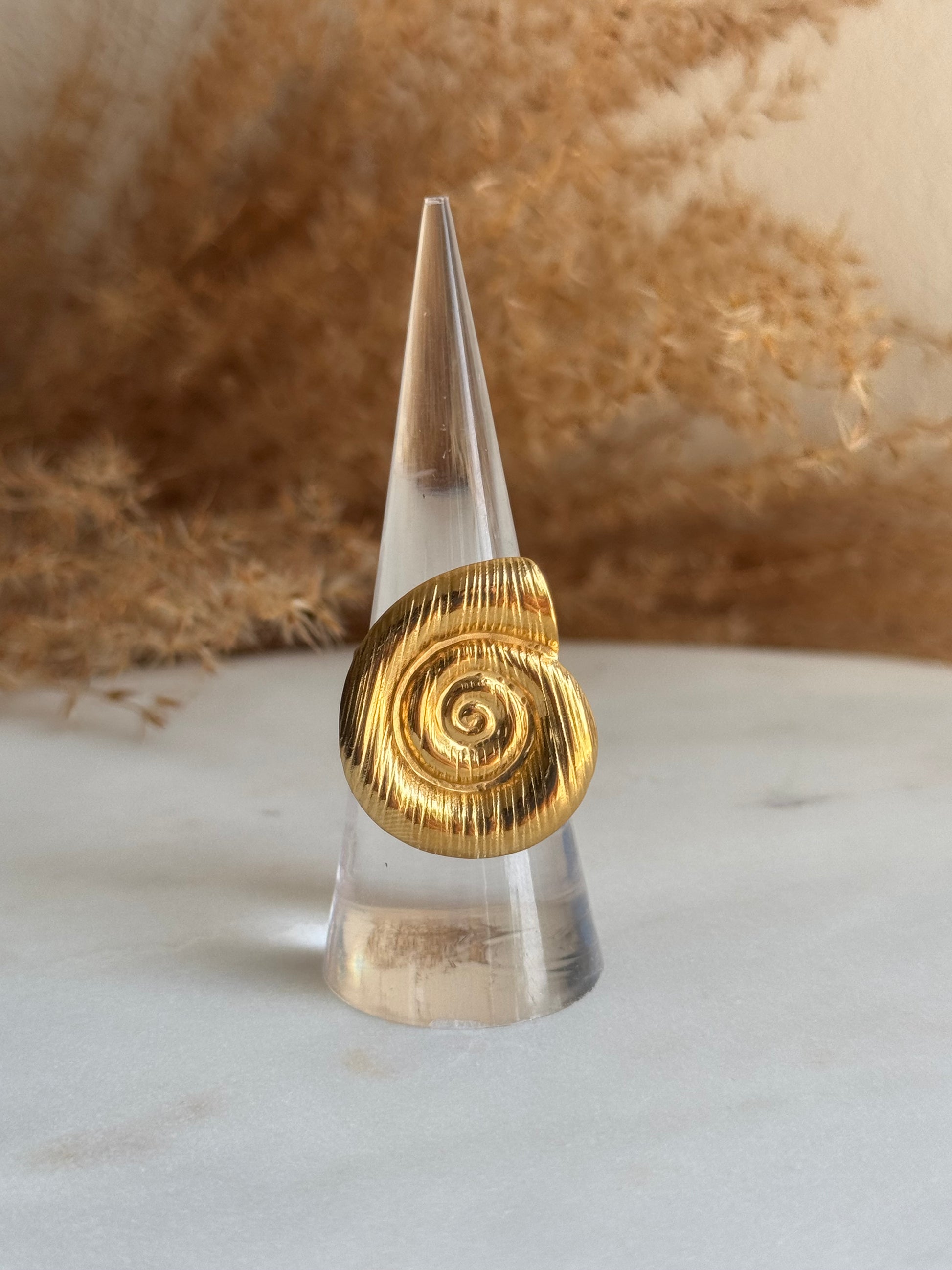 Caracol del Mar Ring