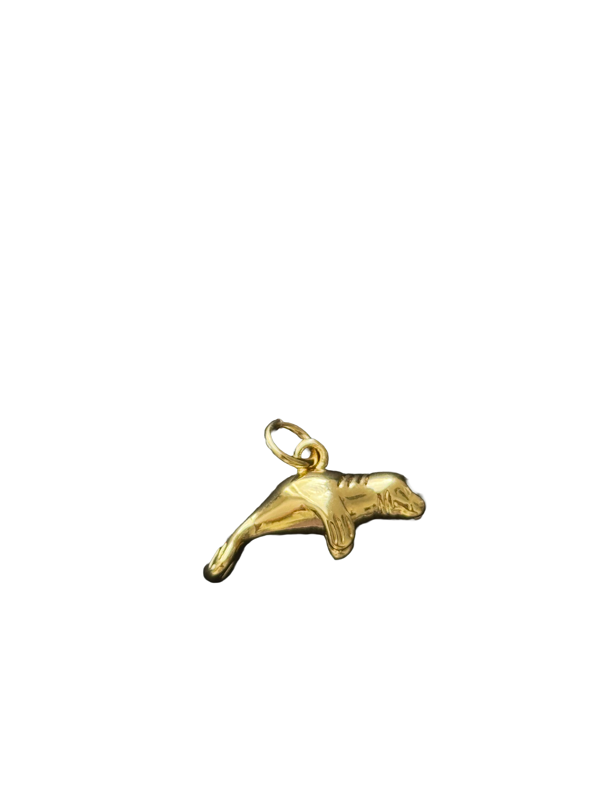 Manatí Charm