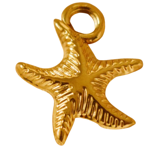 Estrellita Charm