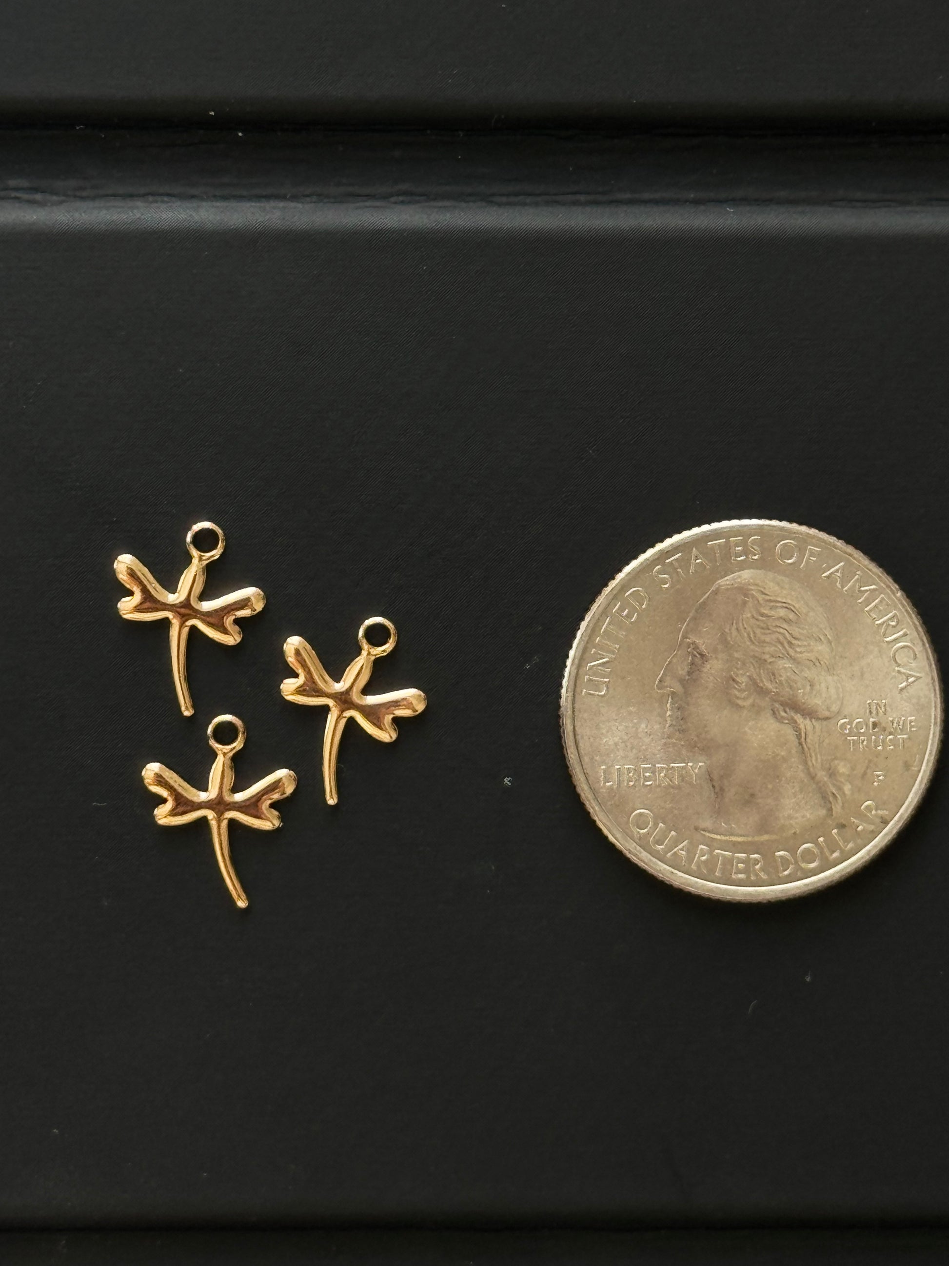 Libélulas Mini Charm