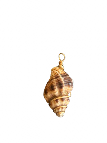 Caracol con Perla Charm