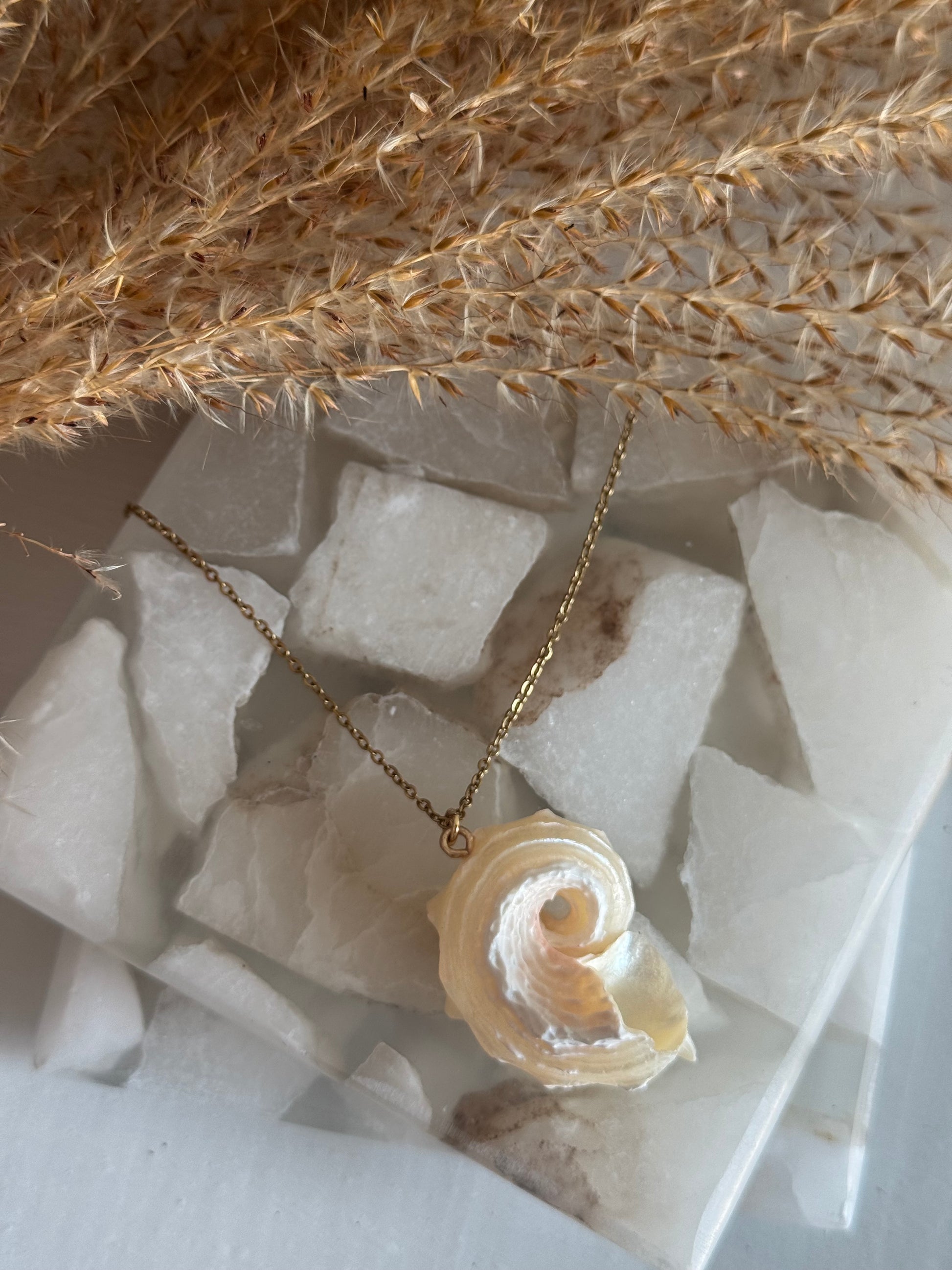 Caracol de Sirena Necklace