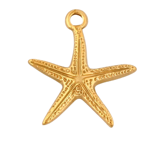 Estrella de Mar Dorada Charm