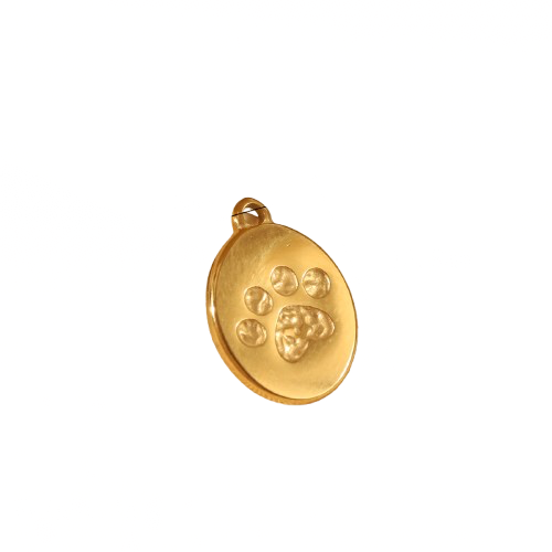 Paw Mini Tag Charm