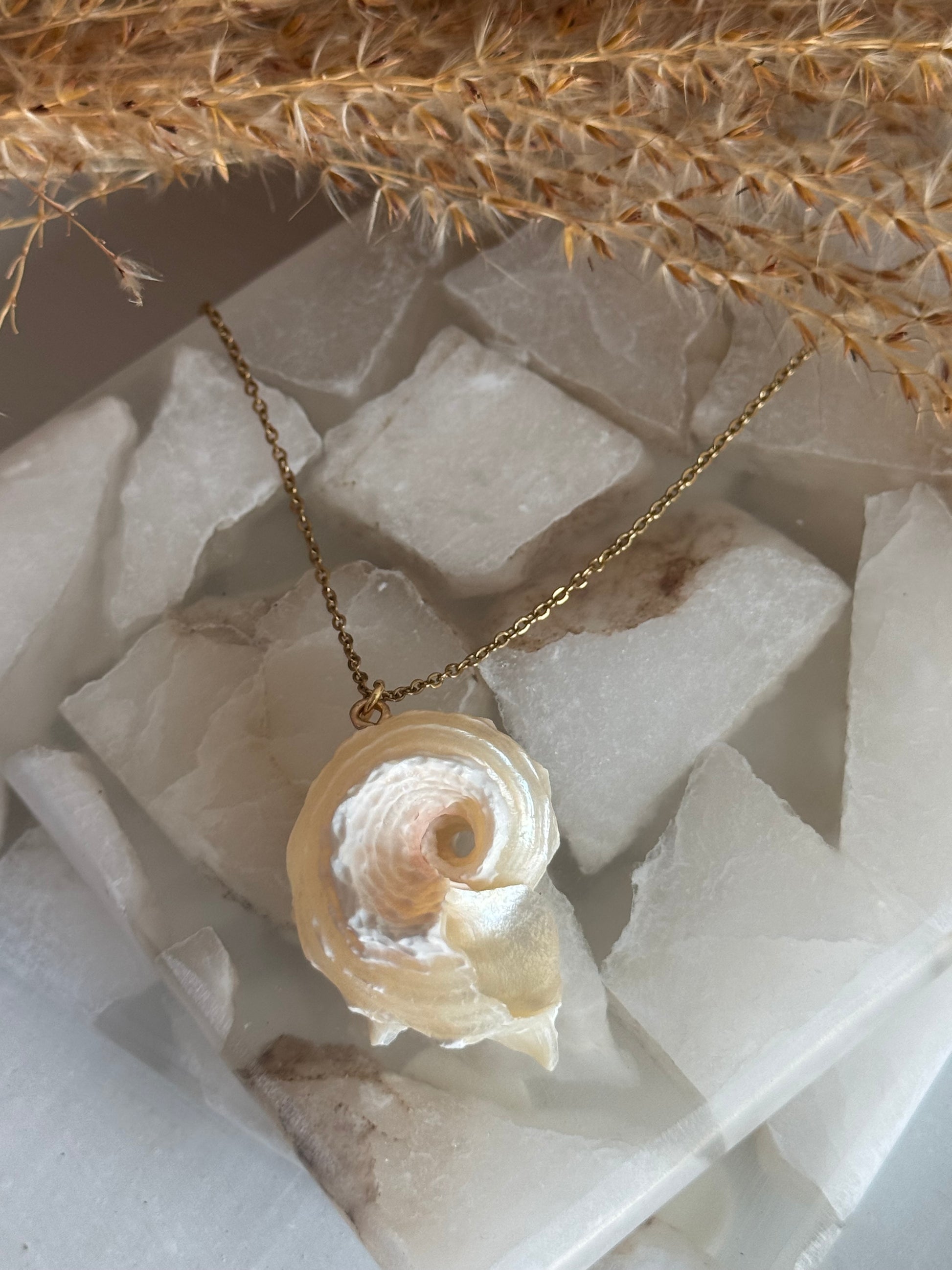 Caracol de Sirena Necklace