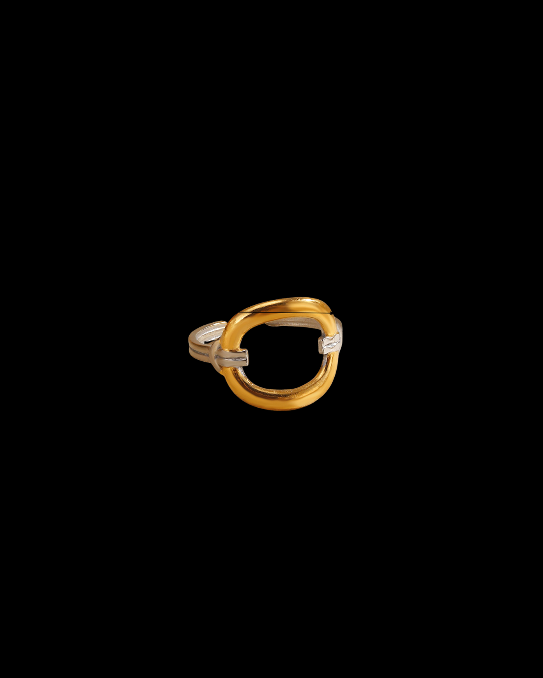 Ariella Two Tones Ring