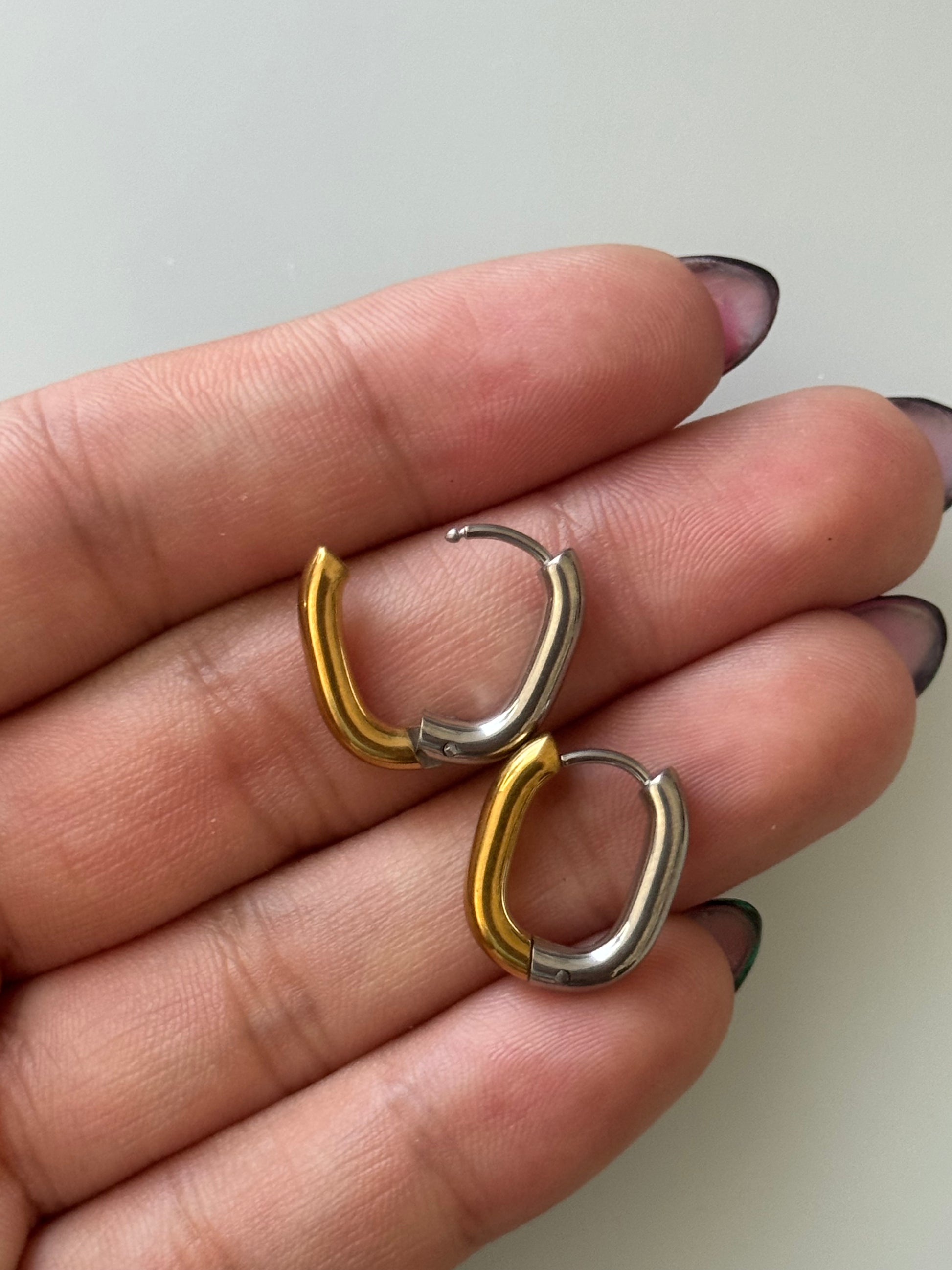 Salyra Two Tones Earrings