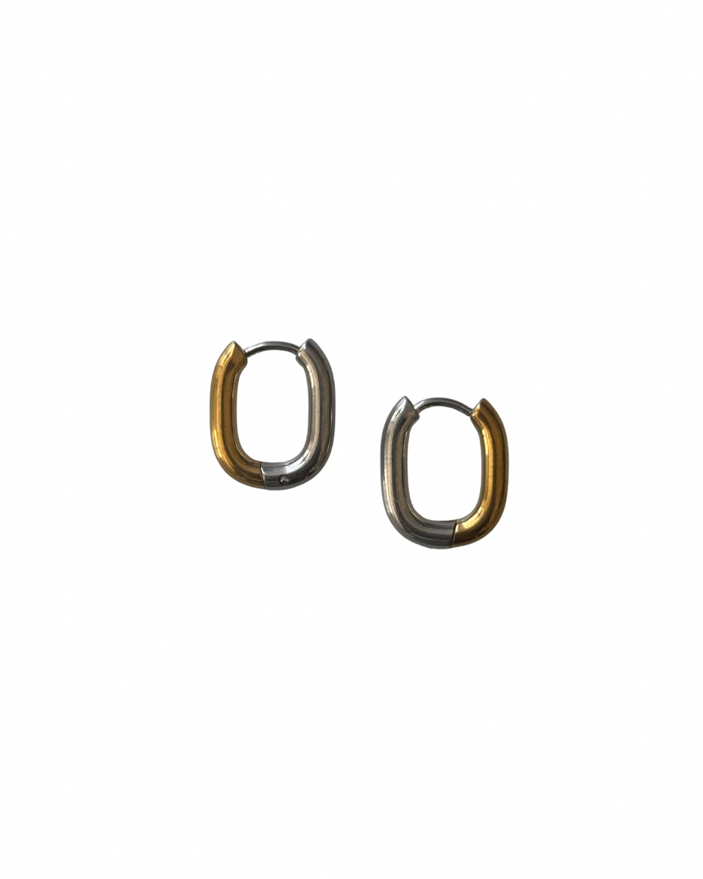 Salyra Two Tones Earrings