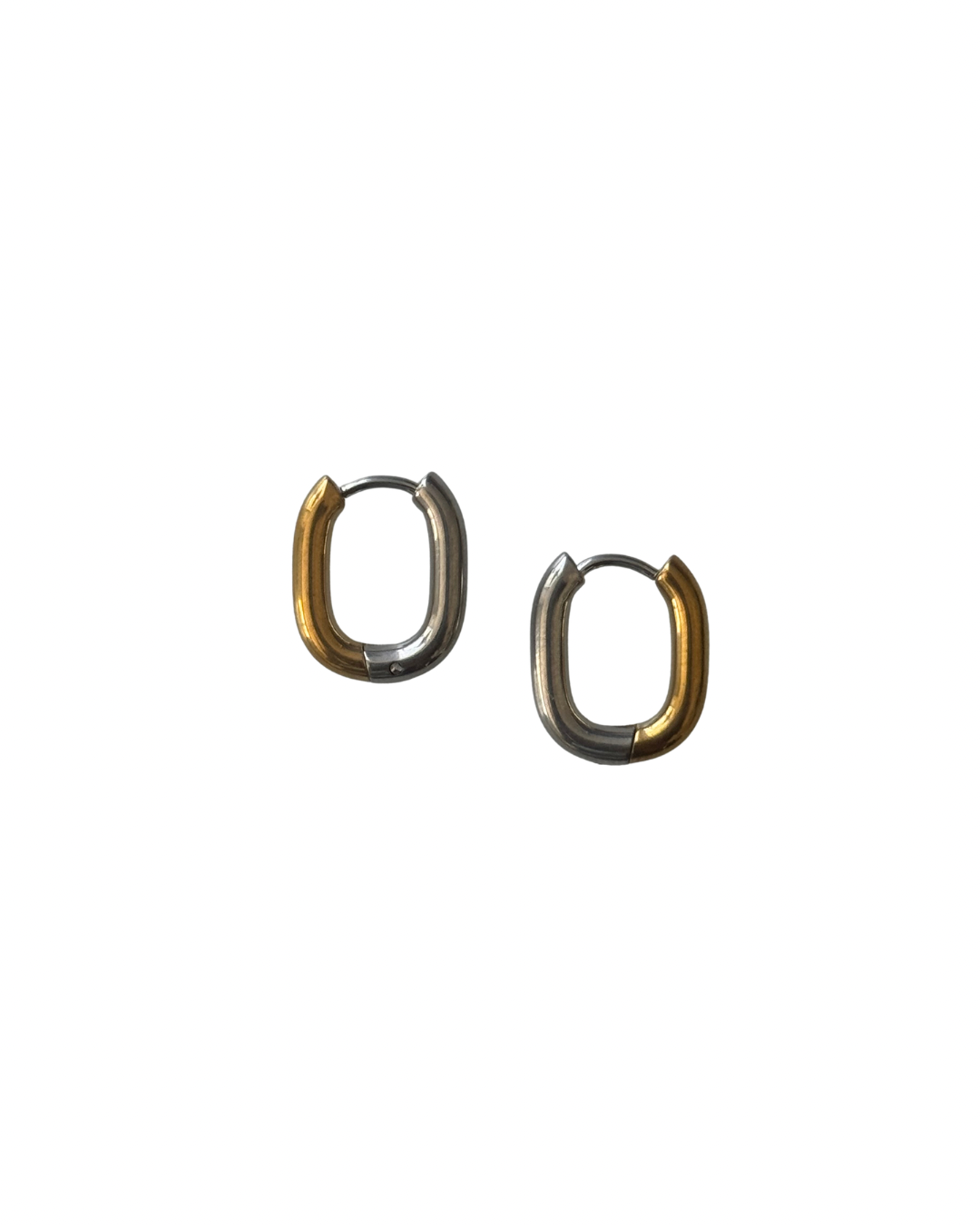 Salyra Two Tones Earrings