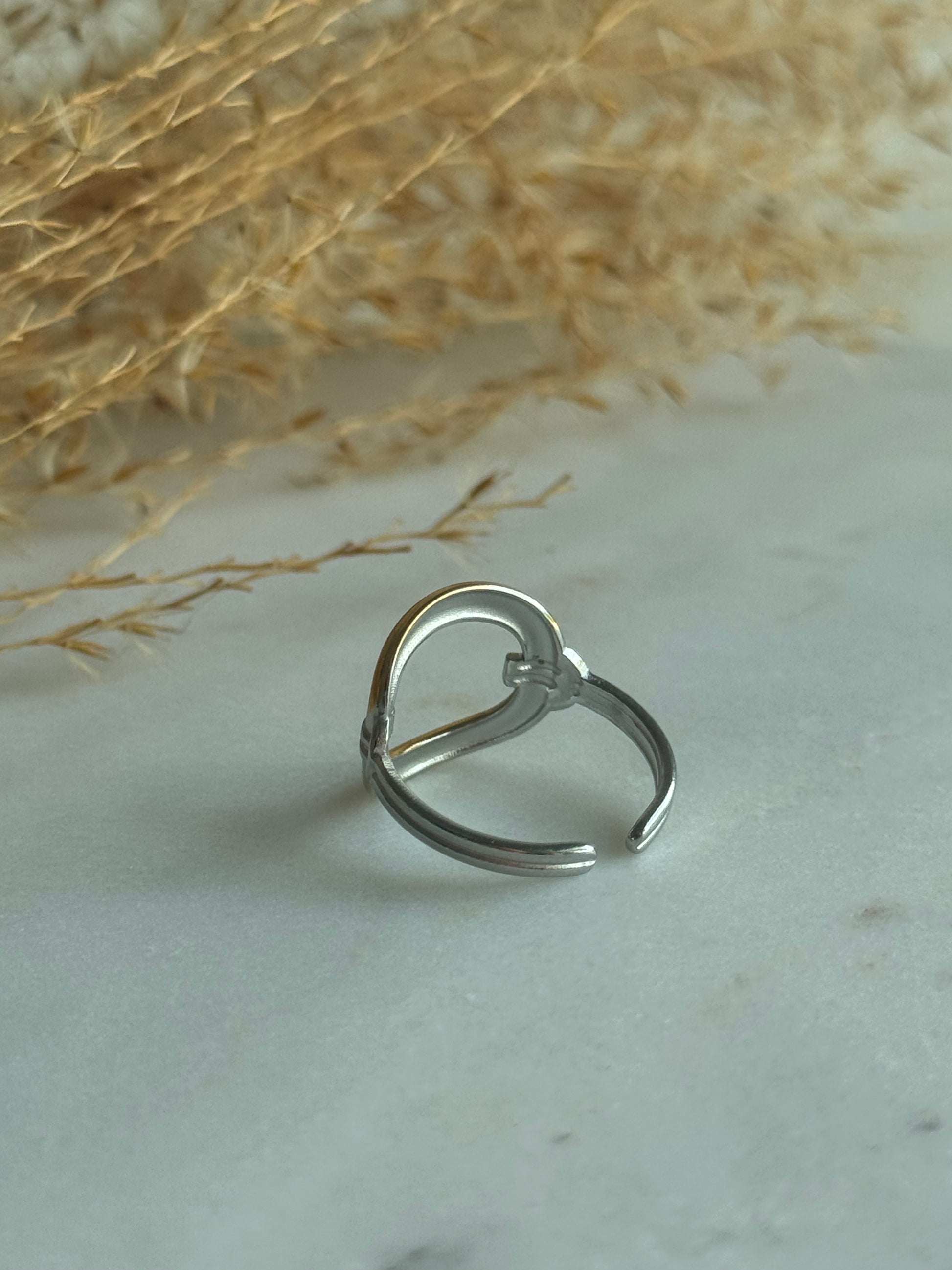 Ariella Two Tones Ring