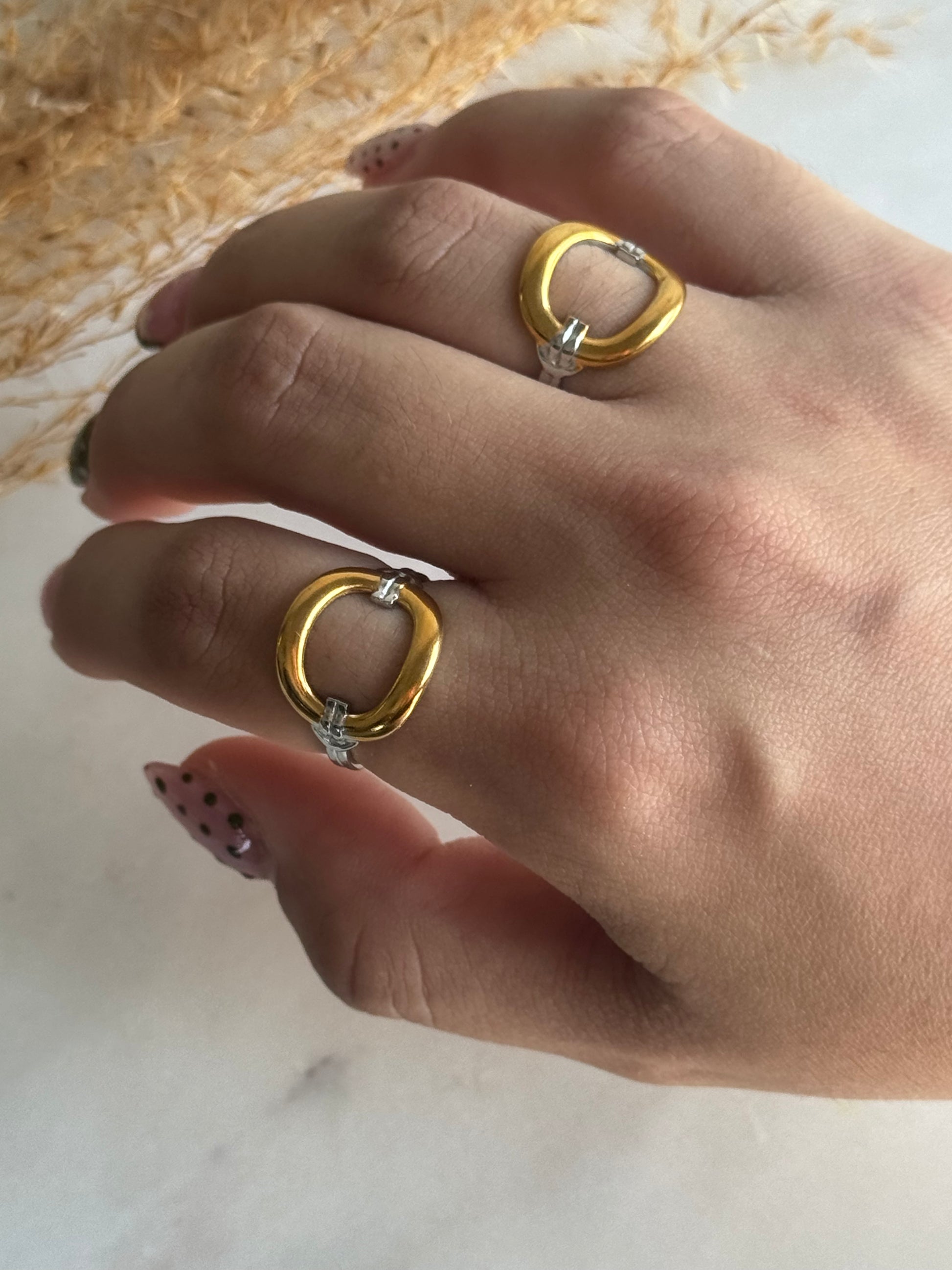 Ariella Two Tones Ring