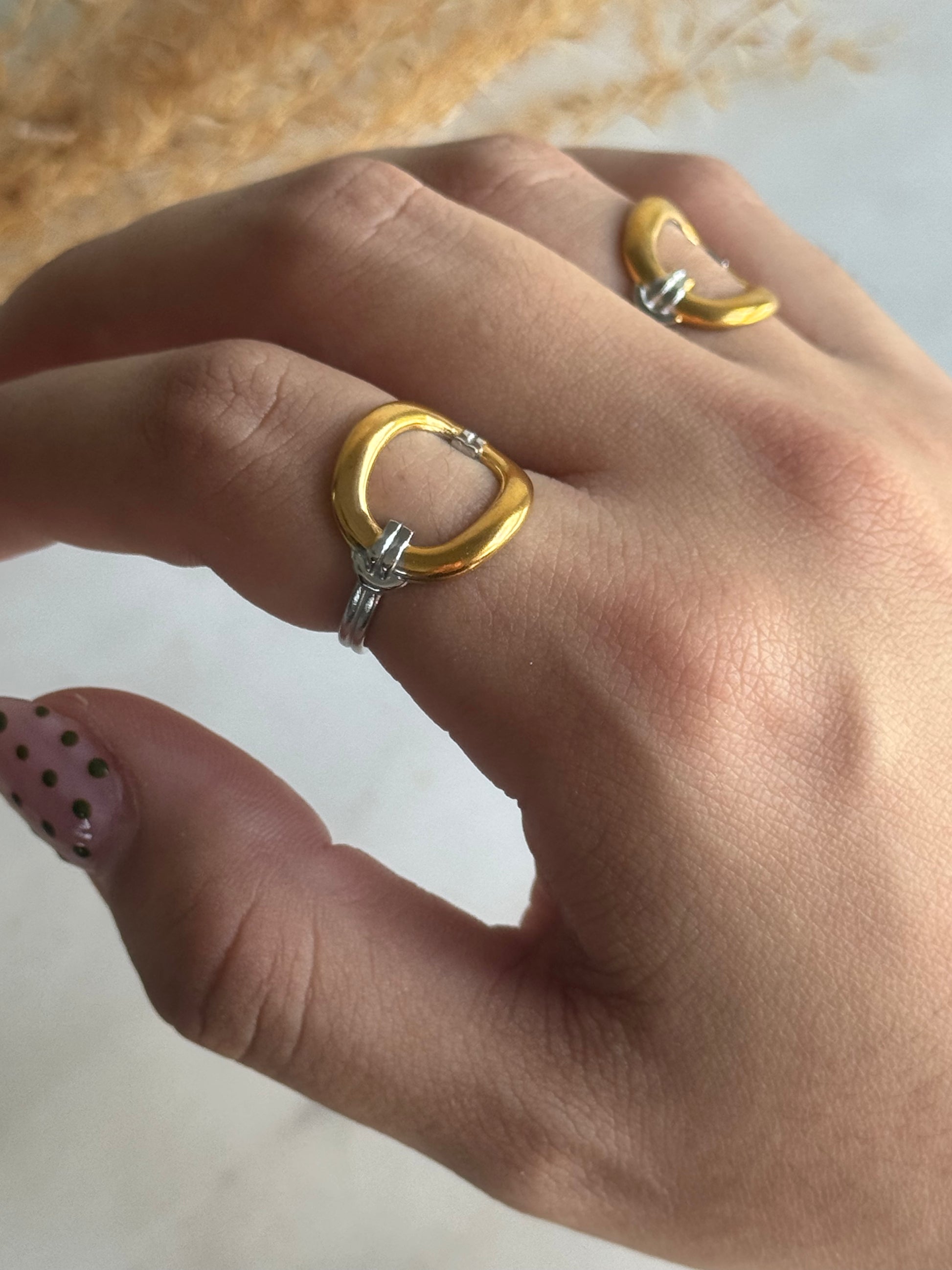 Ariella Two Tones Ring