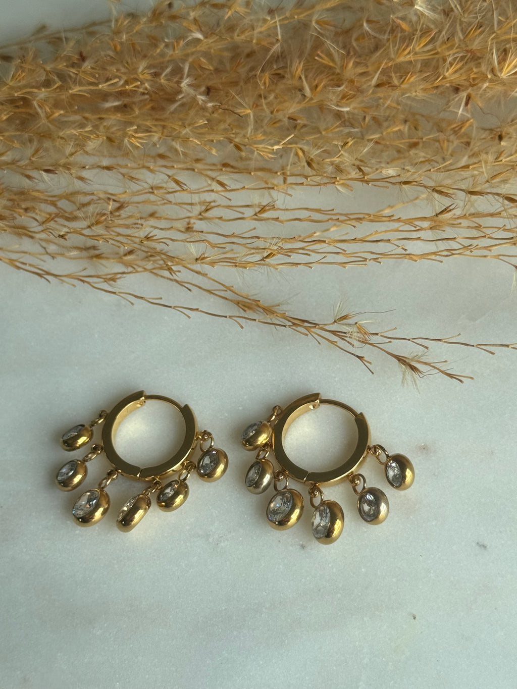 Ariella Hoop Earrings